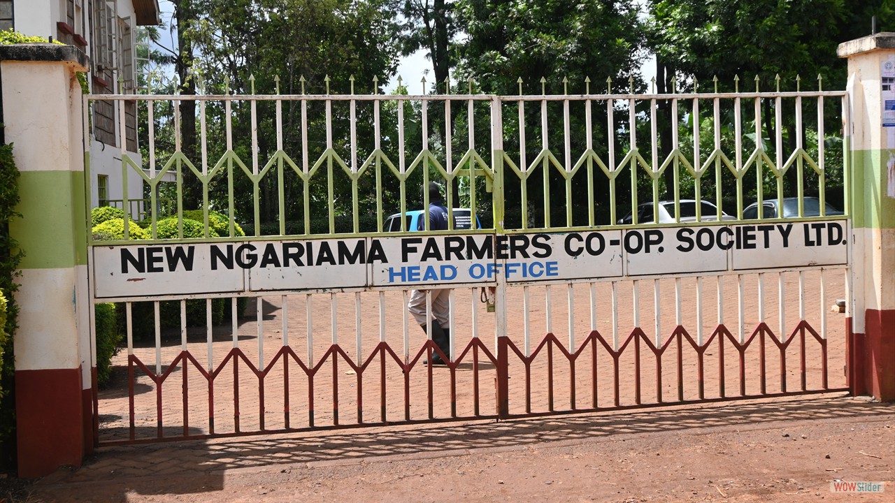 Welcome to New Ngariam Framers Cooperative Society